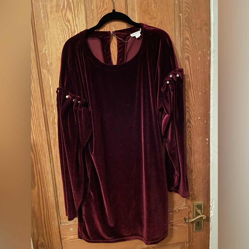 Velvet dress